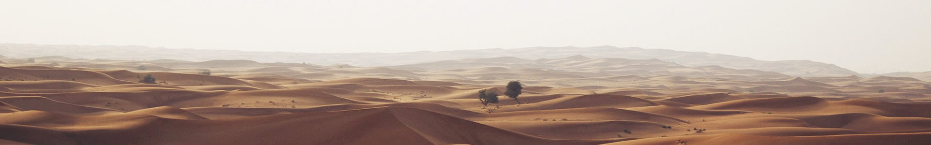 żҸ۸»е޹˾
